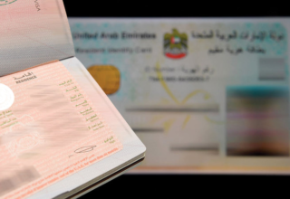 wp header logo17687736061590522653