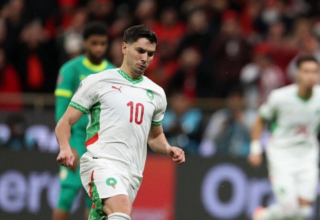 wp header logo17687736071924170159