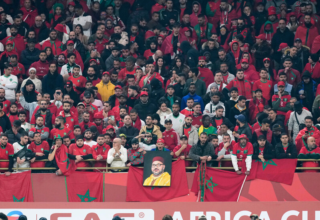 wp header logo17687808131646278708