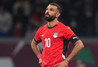 wp header logo1768780822170979711