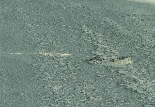 wp header logo1768784411242016605