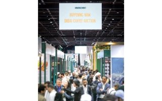 wp header logo17687844252055383869