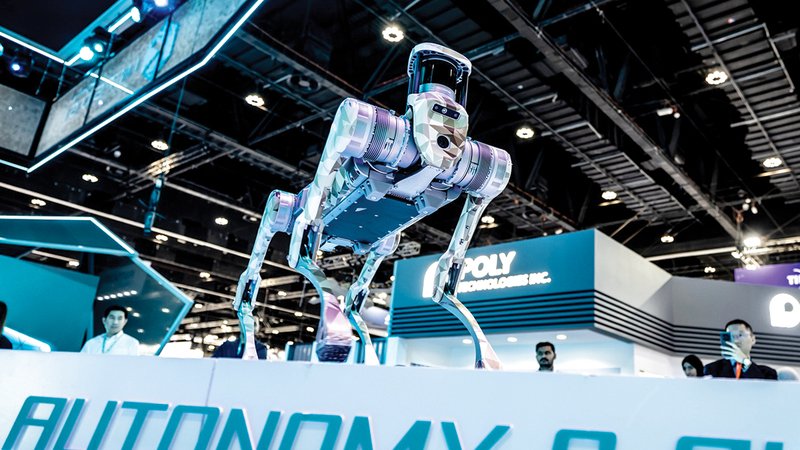 wp header logo17687844301108960652