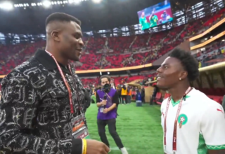 wp header logo1768788009910647499