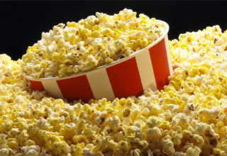 wp header logo176879525239182015