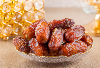 wp header logo17687988071435166538