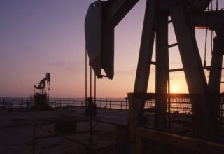 wp header logo17688060091757425405