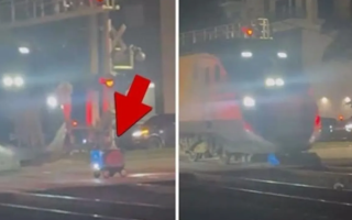 wp header logo1768809611800241985