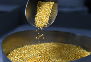 wp header logo17688096151479938510