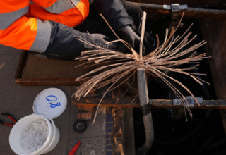 wp header logo17688168791636636926