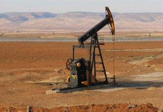 wp header logo17688276081083717988