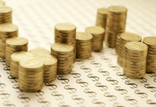 wp header logo17688276231362399517