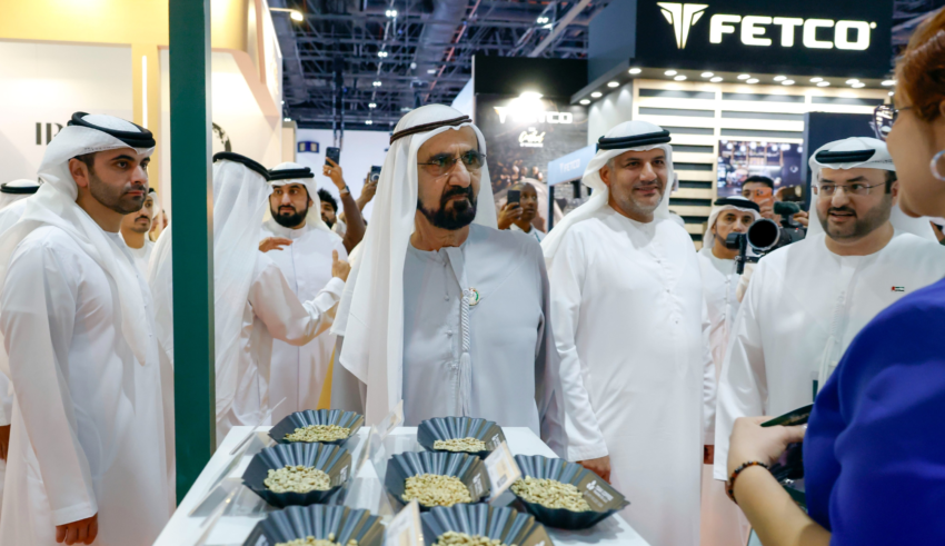 wp header logo1768834831500903848