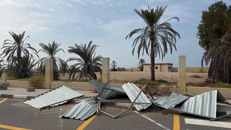 wp header logo17688708101005786230