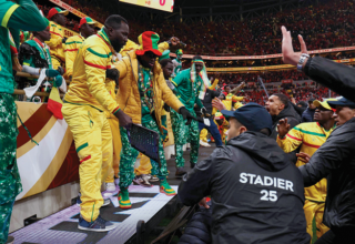 wp header logo17688708181438797358