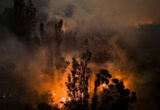 wp header logo1768881608485173755