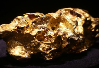 wp header logo17688816101228253748