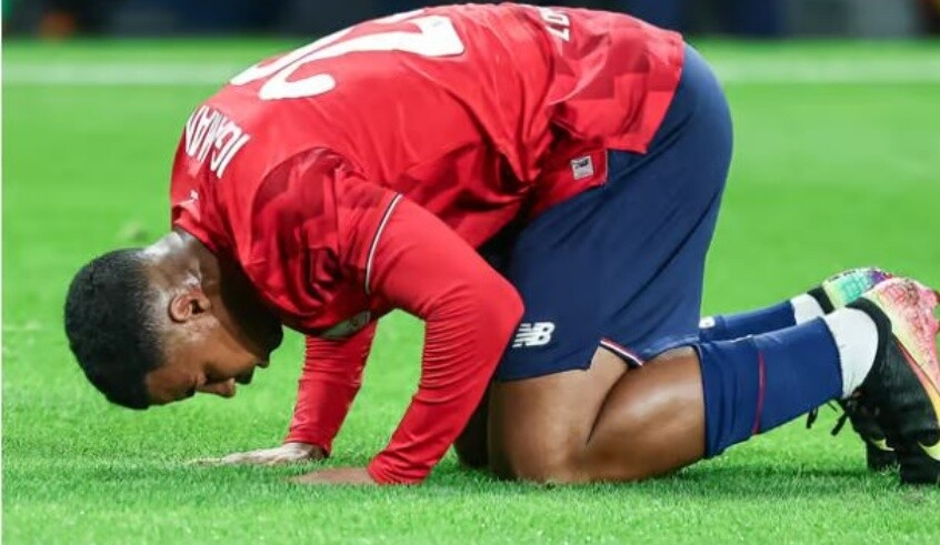 wp header logo17688924101412326918