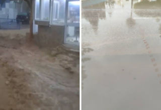 wp header logo1768906815342018280