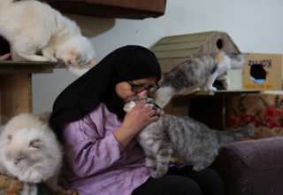 wp header logo1768921210509826523