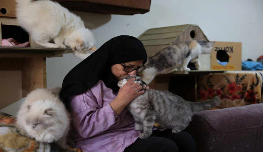 wp header logo1768921210509826523