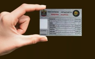 wp header logo17689212281841915098