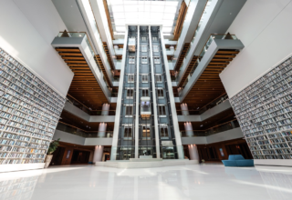 wp header logo17689284112113149594