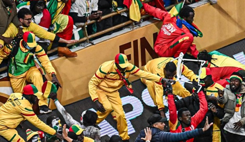 wp header logo176892843147831934