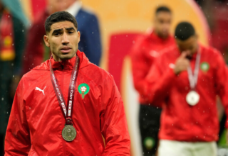 wp header logo17689356101829365555