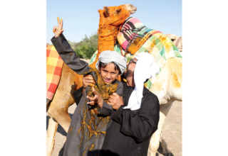 wp header logo17689572191275594332