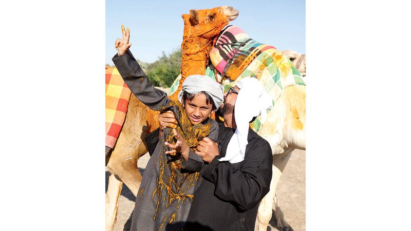 wp header logo17689572191275594332