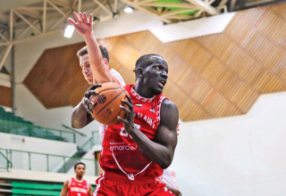 wp header logo1768957223581647688