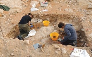 wp header logo17689572261504831195