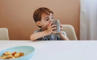 wp header logo1768978809969734099