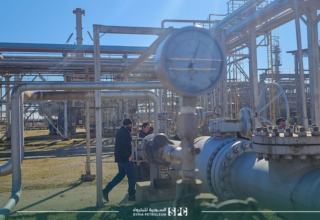 wp header logo17689968251112468497