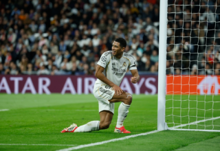 wp header logo1769004025377030700