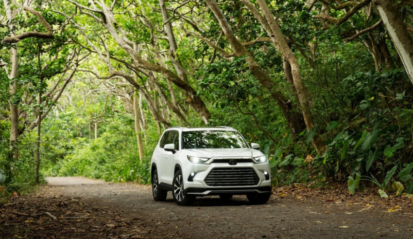 wp header logo1769007609963885541