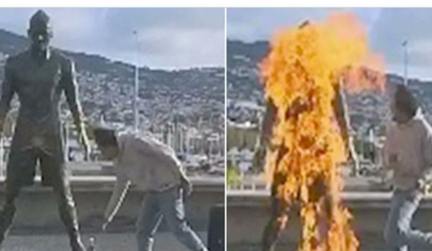 wp header logo1769014809429861422