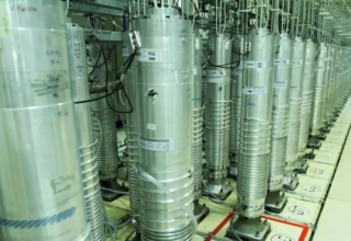 wp header logo176902560810319483