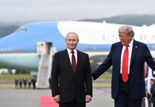 wp header logo17690328102108096673