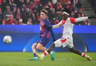 wp header logo1769036410476124006