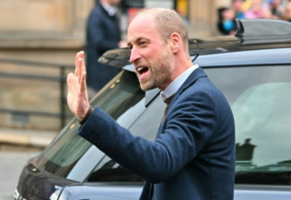 wp header logo17690364311557575290