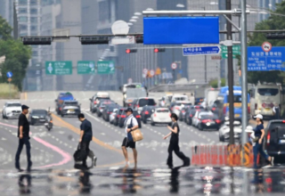 wp header logo17690544091369500290