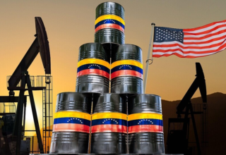 wp header logo1769058016871356429