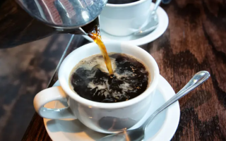 wp header logo17690652101548872465