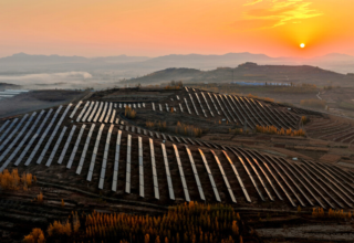 wp header logo17690688112102875166