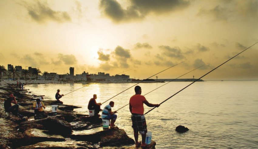 wp header logo17690724081933654339