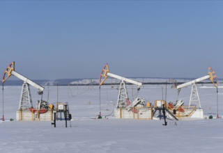 wp header logo1769090417768040282