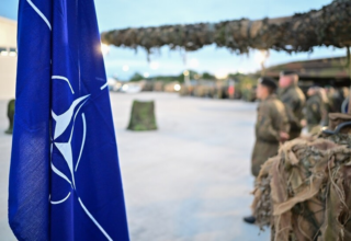 wp header logo176909043672858888