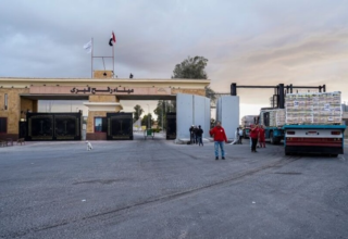 wp header logo17690976451025103087